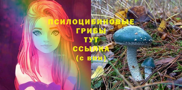 a pvp Алексин